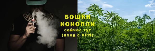 гидра Гусиноозёрск