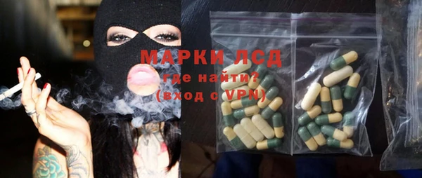 гидра Гусиноозёрск