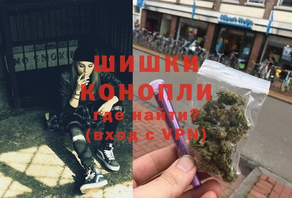 скорость Гусев