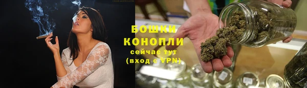 гидра Гусиноозёрск