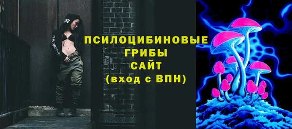 скорость Гусев