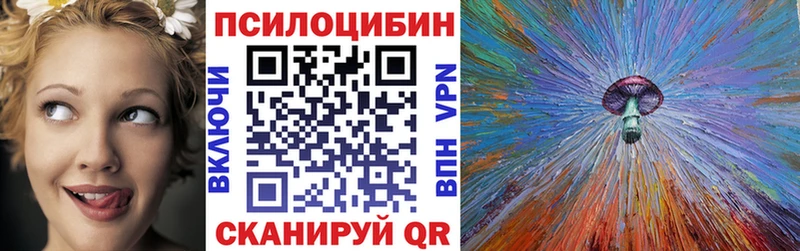 Купить закладки  Ростов  Псилоцибиновые грибы MAGIC MUSHROOMS 